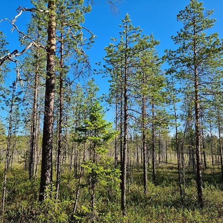 Raate Guest House Suomussalmi Exterior photo